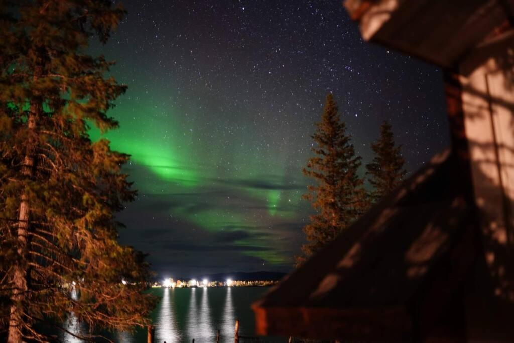 Northernlight Cabin キルナ エクステリア 写真